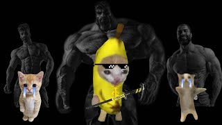 Strongest Banana Cat 💪😼 ( No more crying ) | banana cat meme compilation |