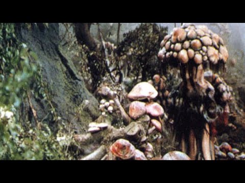 Attack of the Mushroom People Official Trailer