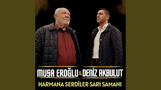 Harmana Serdiler Sarı Samanı