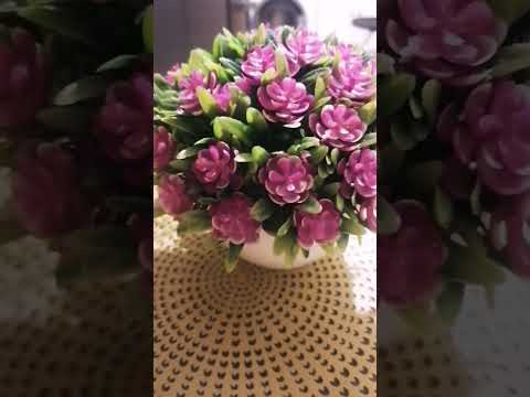 ماهر المعيقلي سورة الزمر قران كريم أحاديث قال رسول الله اكسبلور المليون مشاهدات