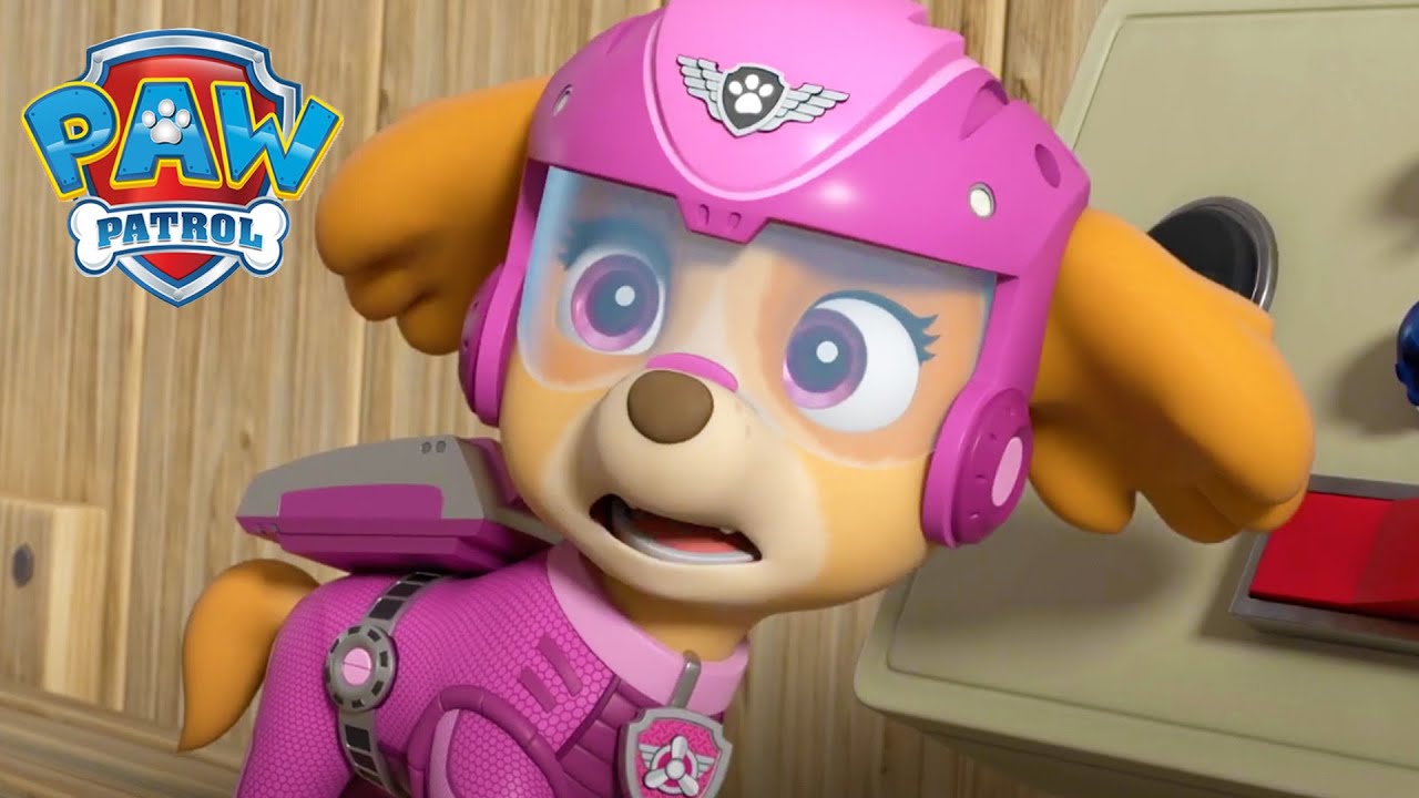 La ce se uită Skye?! - PAW Patrol - Desene animate pentru copii