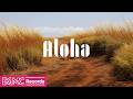 Hawaiian Music for Peaceful Focus | Quiet Island Trail, Gentle Breeze & Relaxing Nature