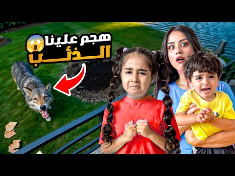 هجم ذئب علينا وكان لح ياكل أدومي شفا شو صار معنا