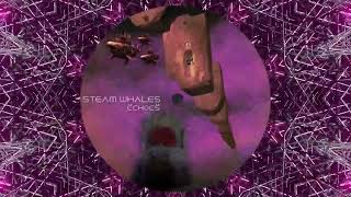 Ëchoës - Stëam Whales Mental Tekno
