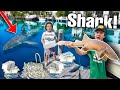 FINDING AQUARIUM SHARKS Using 1,000 LBS of Dead Fish! (Can Sharks Smell Blood?)