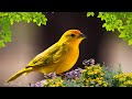 Soothing music for nerves 🌿 healing music for the heart and blood vessels, relaxation,music for soul