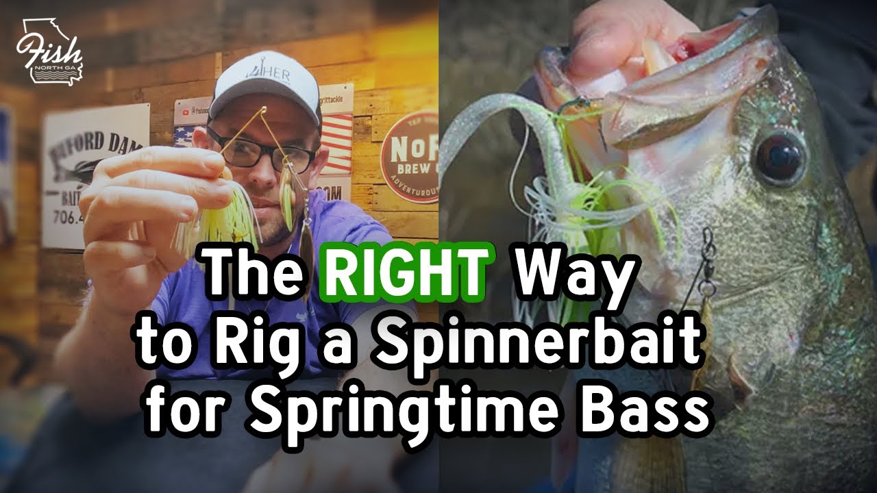 The RIGHT Way to Rig a Spinnerbait For a Springtime Bass YouTube