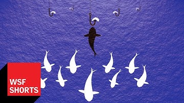 The Natural Risks of Boldness vs. Shyness