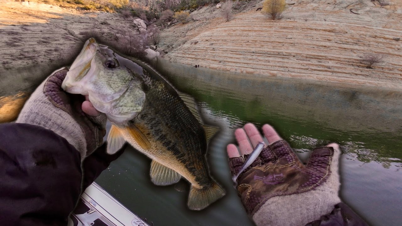 Fishing Finesse Swimbaits for Winter Bass | Happy New Year!