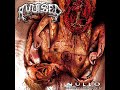 Capture de la vidéo Avulsed - Nazino (Cannibal Hell)