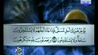 سورة النحل كاملة الشيخ توفيق الصائغ