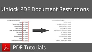 Disable Document Restrictions in PDF