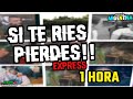 Si Te Ries Pierdes EXPRESS! ARGENTINA VERSIÓN! (ESPECIAL 1 HORA) | NIVEL VITEL TONÉ Y PAN DULCE