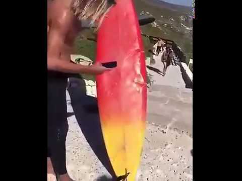 shark attack west Oz - video Tudo Pelo Surf - Margaret River