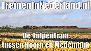 De Tulpentram Tussen Hoorn En Medemblik