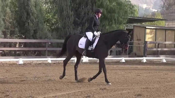 Prince Albert & Angela Lockman - Training Level, T...