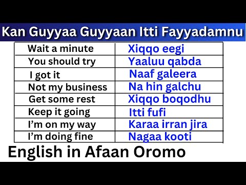 Kan Guyyaa Guyyaan Itti Fayyadamnu Kutaa 4 English In Afaan Oromo Learn English In Afaan Oromo 4