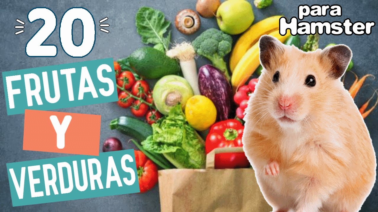 Q verduras comen los conejos