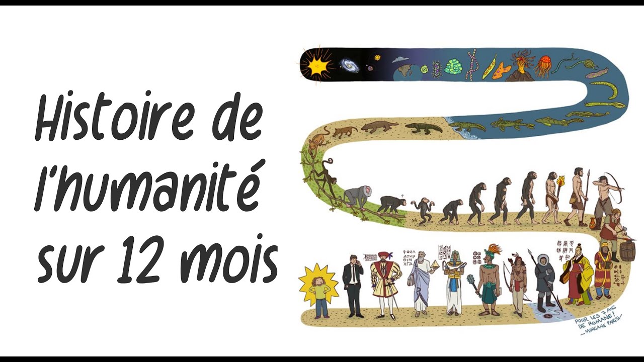 Eveil de Conscience: Sur 12 mois l'histoire de l'humanité tout entiere