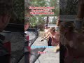 lWomen get aggressive when cops arrive! #shortvideo #police #cops #usashorts #usarmy #usatoday #usa