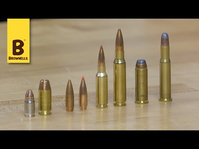 From Hollow-Points to Spitzers: A Quick Guide to Bullet Types