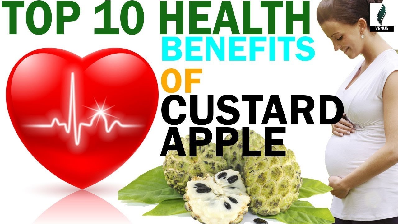 10 health benefits of custurd apple custard apple benefits cancer