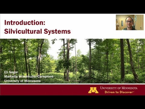 Silvicultural systems