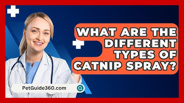 What Are The Different Types Of Catnip Spray? - PetGuide360.com