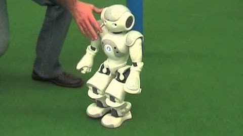 Robust feedback control of ZMP-based gait for the humanoid robot Nao (1 of 2)