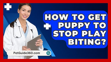 How To Get Puppy To Stop Play Biting? - PetGuide360.com