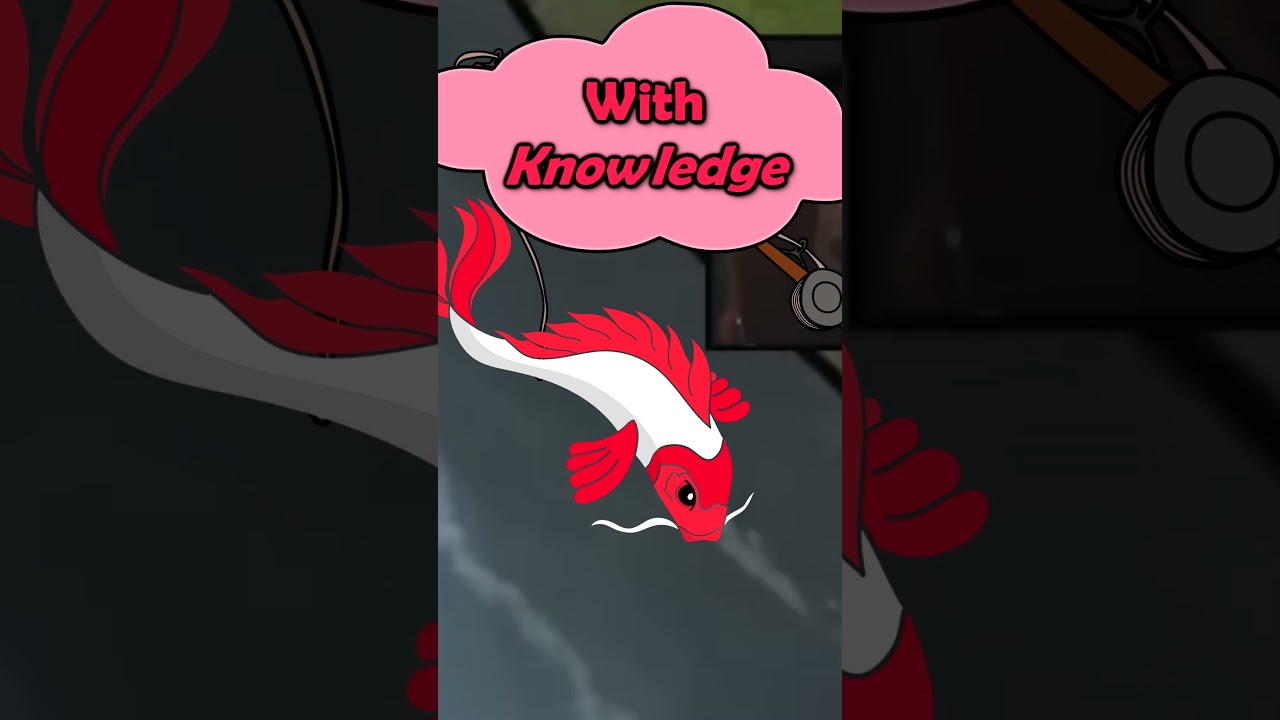 Dungeons and Dragons 5e: An Unexpected Discovery (Why Slay Dragons: Fishing Campaign) 