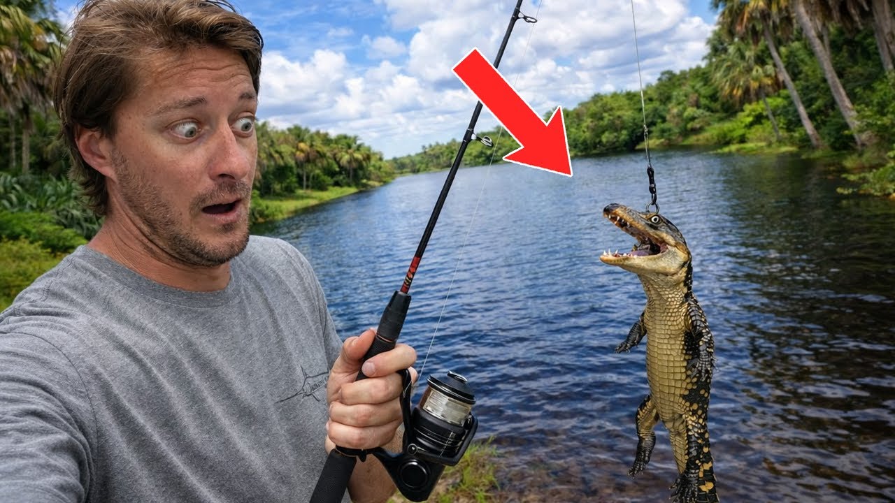 Well that's a weird looking BASS…