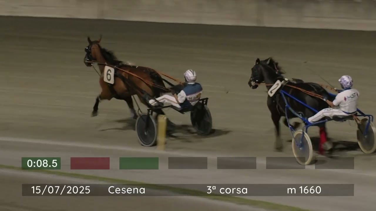 2025 07 15 | Corsa 3 | Metri 1660 | Premio Plautus Festival Sarsina - Tomaso Grassi Award 2025