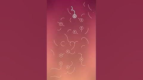 Infinite Energy level 114 cracked