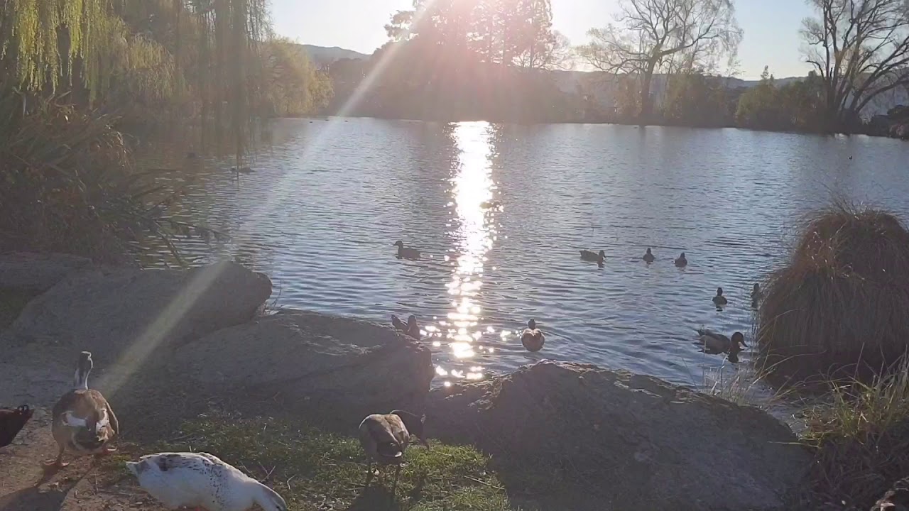 Why New Zealand Highlights: Alexandra, Central Otago