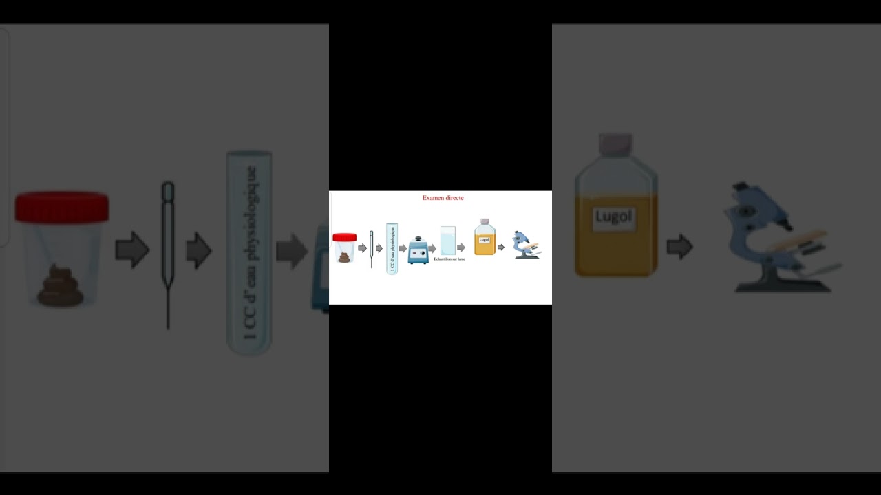 La Coprologie Parasitaire par la technique de Flottaison