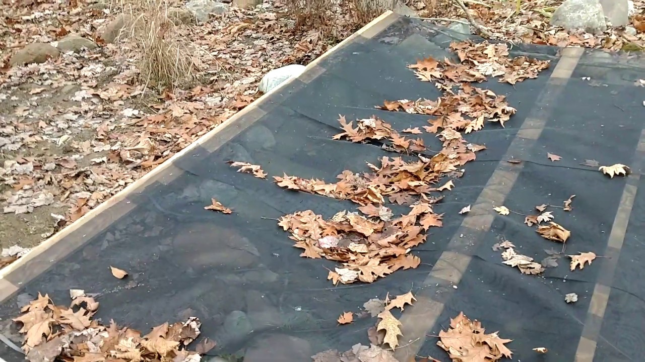 How to keep leaves out of a  frog or wildlife pond