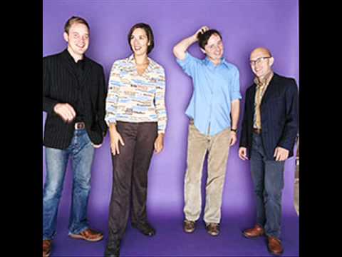 stereolab heavy denim