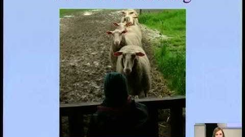 Programming Elixir: The magic of today