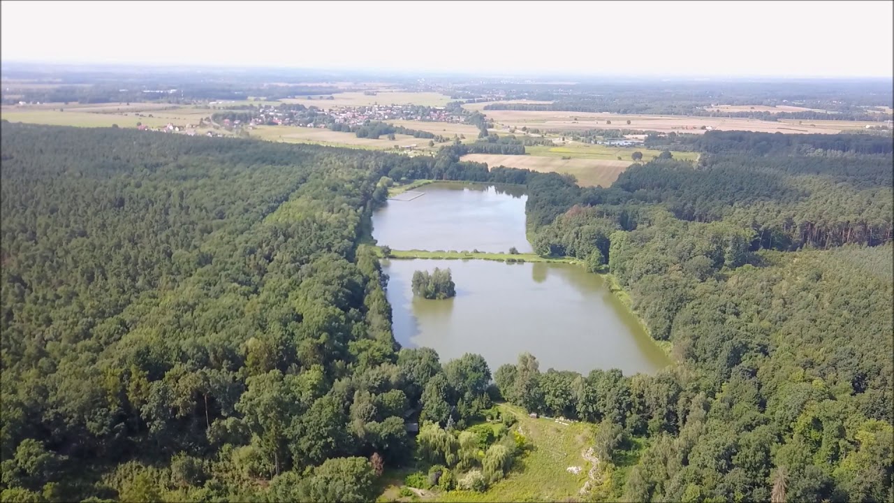 Stawy Wilczyn Leśny