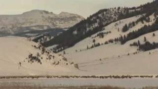 Jackson Hole, Wyoming