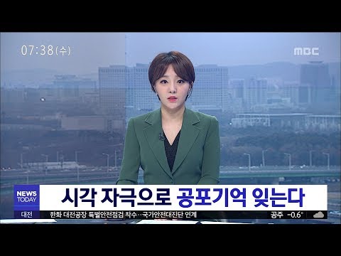 [대전MBC뉴스]시각 자극으로 공포기억 잊는다