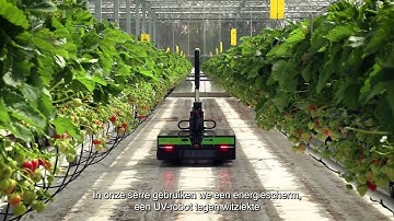 De Klimaatkoploper 2025: Sven Neufkens