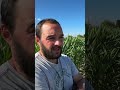 produzione di sementi, un punto di riferimento mondiale #emiliaromagna #agricoltura
