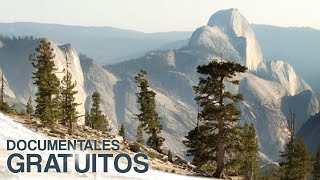 Parques nacionales estadounidenses  Yosemite