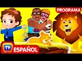 Salvando al cachorro de león - Episodio Masái Mara - Divertidas historias infantiles - ChuChu TV