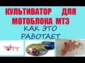 Культиватор-борона для мотоблока МТЗ.Культивация почвы перед вспашкой.