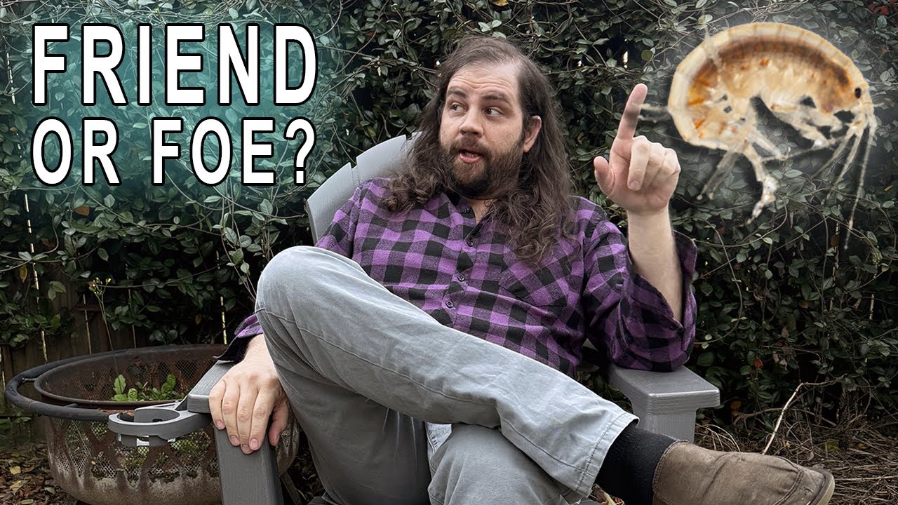 Scuds are Bad, M’kay?