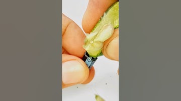 making a lemon capacitor 🙄 how to make lemon capacitor / experiment #capacitor #electronics #shorts