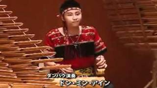 Vietnamese Ethnic Instruments performed Japanese song  - VYFB Performed in Japan